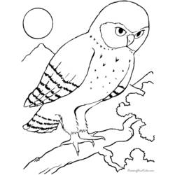 Dibujo para colorear: Aves (Animales) #11990 - Dibujos para Colorear e Imprimir Gratis