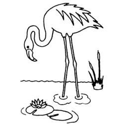 Dibujo para colorear: Aves (Animales) #12015 - Dibujos para Colorear e Imprimir Gratis