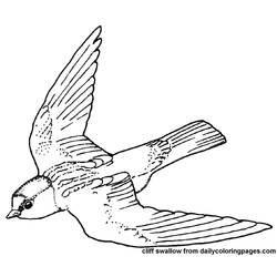 Dibujo para colorear: Aves (Animales) #12029 - Dibujos para Colorear e Imprimir Gratis