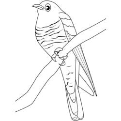 Dibujo para colorear: Aves (Animales) #12041 - Dibujos para Colorear e Imprimir Gratis