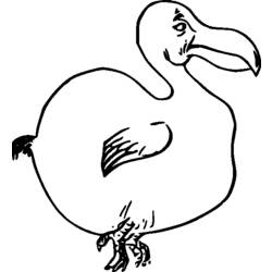 Dibujo para colorear: Aves (Animales) #12043 - Dibujos para Colorear e Imprimir Gratis