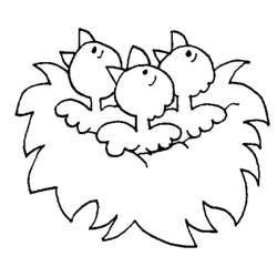 Dibujo para colorear: Aves (Animales) #12052 - Dibujos para Colorear e Imprimir Gratis