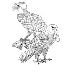 Dibujo para colorear: Aves (Animales) #12053 - Dibujos para Colorear e Imprimir Gratis