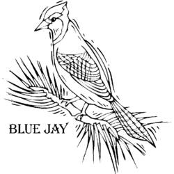 Dibujo para colorear: Aves (Animales) #12062 - Dibujos para Colorear e Imprimir Gratis