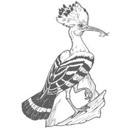 Dibujo para colorear: Aves (Animales) #12087 - Dibujos para Colorear e Imprimir Gratis