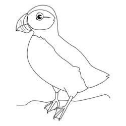 Dibujo para colorear: Aves (Animales) #12098 - Dibujos para Colorear e Imprimir Gratis