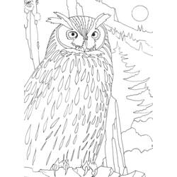 Dibujo para colorear: Aves (Animales) #12110 - Dibujos para Colorear e Imprimir Gratis