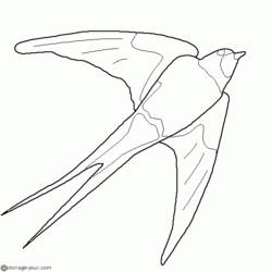 Dibujo para colorear: Aves (Animales) #12135 - Dibujos para Colorear e Imprimir Gratis