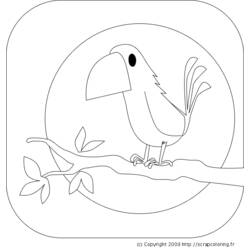 Dibujo para colorear: Aves (Animales) #12139 - Dibujos para Colorear e Imprimir Gratis