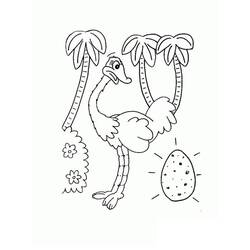 Dibujo para colorear: Avestruz (Animales) #204548 - Dibujos para Colorear e Imprimir Gratis