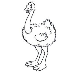 Dibujo para colorear: Avestruz (Animales) #204587 - Dibujos para Colorear e Imprimir Gratis