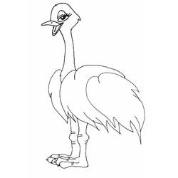 Dibujo para colorear: Avestruz (Animales) #676 - Dibujos para Colorear e Imprimir Gratis