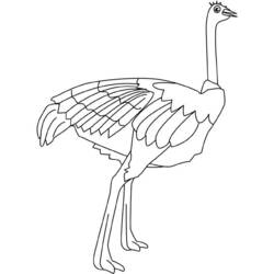 Dibujo para colorear: Avestruz (Animales) #682 - Dibujos para Colorear e Imprimir Gratis