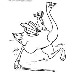 Dibujo para colorear: Avestruz (Animales) #737 - Dibujos para Colorear e Imprimir Gratis