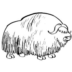 Dibujo para colorear: Bisonte (Animales) #1200 - Dibujos para Colorear e Imprimir Gratis