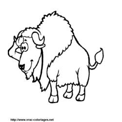 Dibujo para colorear: Bisonte (Animales) #1203 - Dibujos para Colorear e Imprimir Gratis