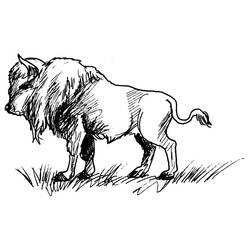 Dibujo para colorear: Bisonte (Animales) #1206 - Dibujos para Colorear e Imprimir Gratis