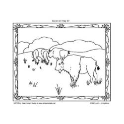 Dibujo para colorear: Bisonte (Animales) #1207 - Dibujos para Colorear e Imprimir Gratis