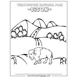 Dibujo para colorear: Bisonte (Animales) #1239 - Dibujos para Colorear e Imprimir Gratis