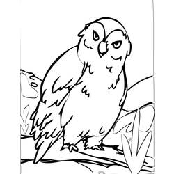 Dibujo para colorear: Búho (Animales) #8467 - Dibujos para Colorear e Imprimir Gratis