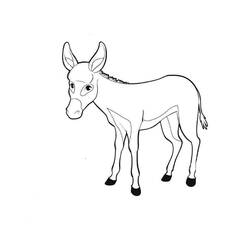 Dibujo Burro (Animales) #197834 para imprimir y colorear