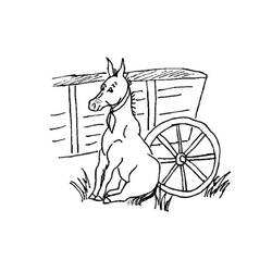 Dibujo Burro (Animales) #197856 para imprimir y colorear