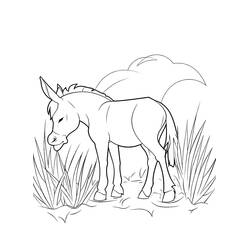 Dibujo Burro (Animales) #197861 para imprimir y colorear
