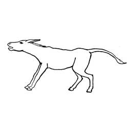 Dibujo Burro (Animales) #197884 para imprimir y colorear