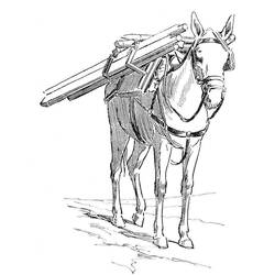 Dibujo Burro (Animales) #197885 para imprimir y colorear