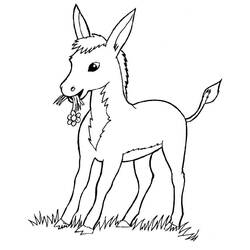 Dibujo para colorear: Burro (Animales) #478 - Dibujos para colorear y pintar