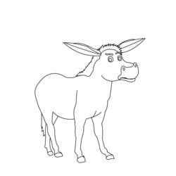 Dibujo para colorear: Burro (Animales) #546 - Dibujos para colorear y pintar