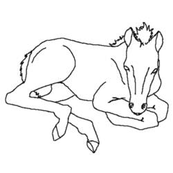 Dibujo para colorear: Caballo (Animales) #2193 - Dibujos para Colorear e Imprimir Gratis