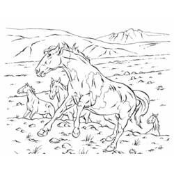 Dibujo para colorear: Caballo (Animales) #2226 - Dibujos para Colorear e Imprimir Gratis