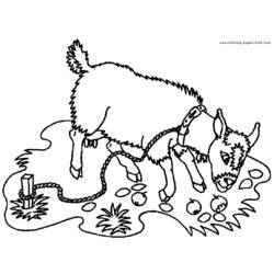 Dibujo para colorear: Cabra (Animales) #2378 - Dibujos para Colorear e Imprimir Gratis