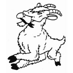 Dibujo para colorear: Cabra (Animales) #2389 - Dibujos para Colorear e Imprimir Gratis