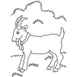 Dibujo para colorear: Cabra (Animales) #2403 - Dibujos para Colorear e Imprimir Gratis