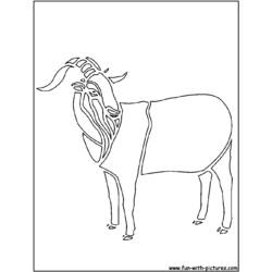 Dibujo para colorear: Cabra (Animales) #2433 - Dibujos para Colorear e Imprimir Gratis
