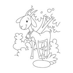 Dibujo para colorear: Cabra (Animales) #2446 - Dibujos para Colorear e Imprimir Gratis