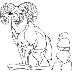 Dibujo para colorear: Cabra (Animales) #2448 - Dibujos para Colorear e Imprimir Gratis