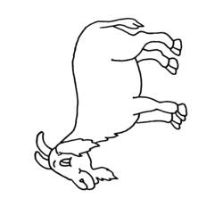 Dibujo para colorear: Cabra (Animales) #2454 - Dibujos para Colorear e Imprimir Gratis