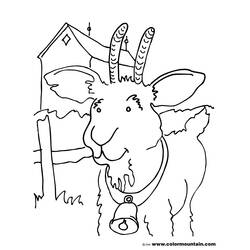 Dibujo para colorear: Cabra (Animales) #2464 - Dibujos para Colorear e Imprimir Gratis