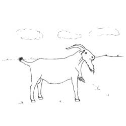 Dibujo para colorear: Cabra (Animales) #2474 - Dibujos para Colorear e Imprimir Gratis