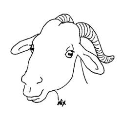 Dibujo para colorear: Cabra (Animales) #2479 - Dibujos para Colorear e Imprimir Gratis