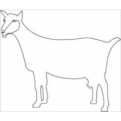 Dibujo para colorear: Cabra (Animales) #2489 - Dibujos para Colorear e Imprimir Gratis