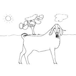 Dibujo para colorear: Cabra (Animales) #2495 - Dibujos para Colorear e Imprimir Gratis