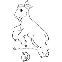 Dibujo para colorear: Cabra (Animales) #2498 - Dibujos para Colorear e Imprimir Gratis