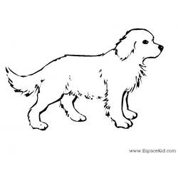 Dibujo para colorear: Cachorro (Animales) #2899 - Dibujos para Colorear e Imprimir Gratis