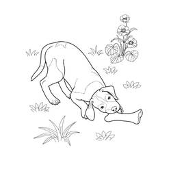 Dibujo para colorear: Cachorro (Animales) #2940 - Dibujos para Colorear e Imprimir Gratis