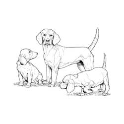 Dibujo para colorear: Cachorro (Animales) #2953 - Dibujos para Colorear e Imprimir Gratis