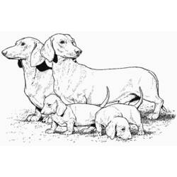 Dibujo para colorear: Cachorro (Animales) #2960 - Dibujos para Colorear e Imprimir Gratis